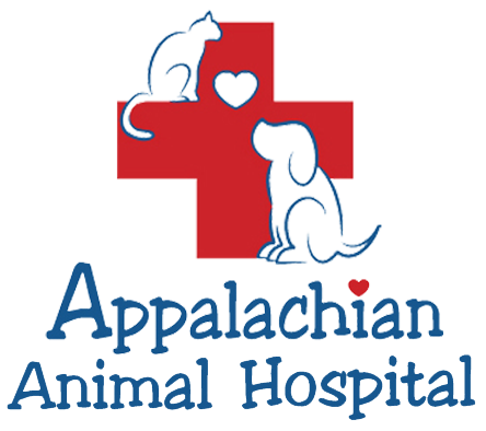 Appalachian Animal Hospital
